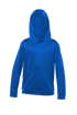 Picture of Y475 Youth Hoodie